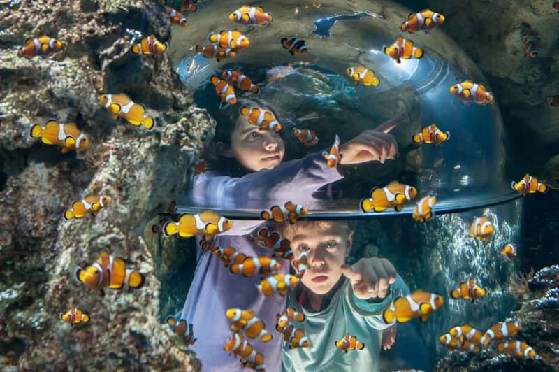 Gardaland SEA LIFE Aquarium: Open Date Entry Ticket - Practical Details and Tips