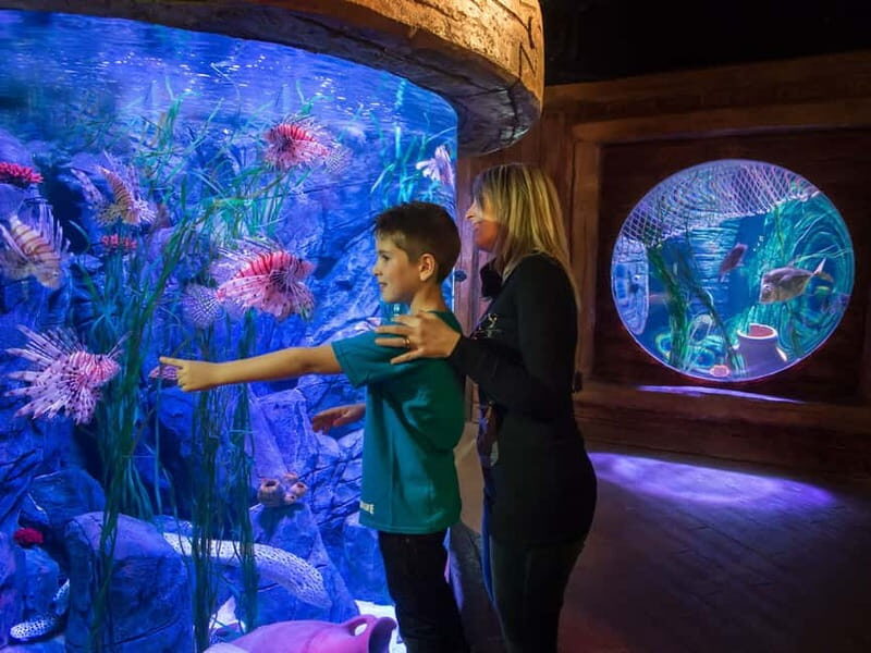 Gardaland SEA LIFE Aquarium: Open Date Entry Ticket - Real Visitor Feedback and Insights