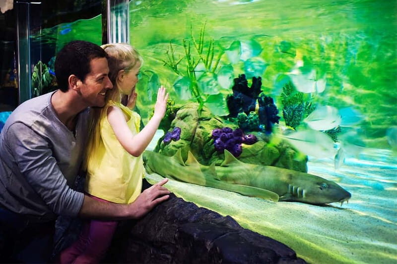 Gardaland SEA LIFE Aquarium: Open Date Entry Ticket - Who Should Visit?