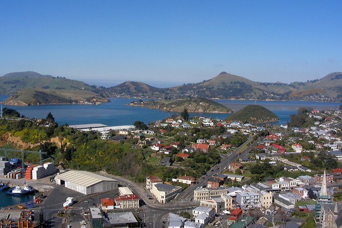 Garden and City tour - Why You’ll Love This Dunedin Tour