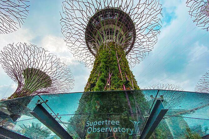 Garden By Bay Cloud Forest, Flower Dome & Supertree Observatory - Key Points
