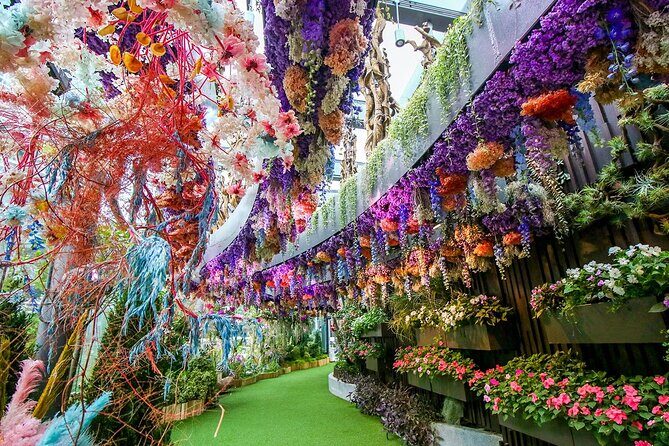 Garden By Bay Cloud Forest, Flower Dome & Supertree Observatory - A Complete Guide to the Gardens by the Bay Tour
