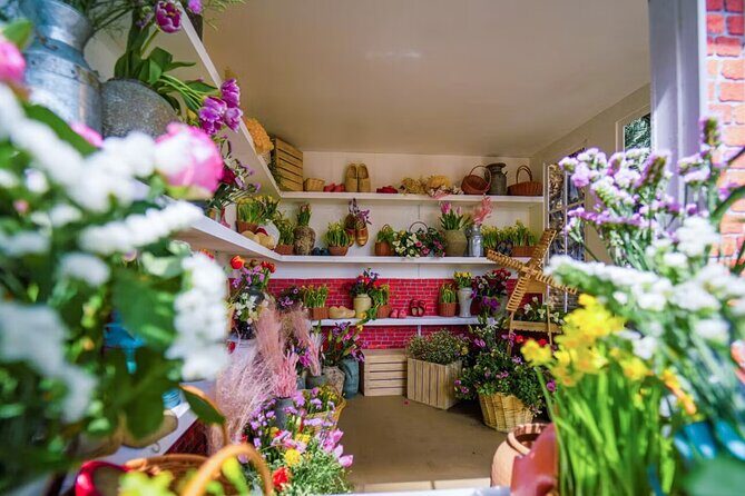 Garden By Bay Cloud Forest, Flower Dome & Supertree Observatory - Who Would Love This Tour?