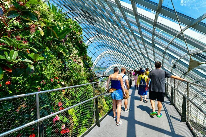 Garden By the Bay Singapore Admission Ticket - What to Expect at Gardens by the Bay