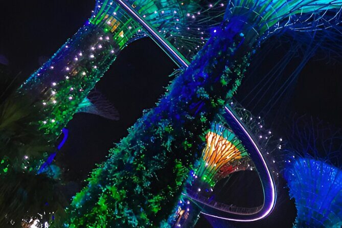 Garden by the Bay Ticket Only Optional Skypark Observation Deck - Pricing and Value