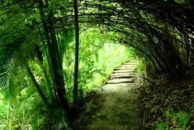 garden-delight-full-day-tour-in-barbados