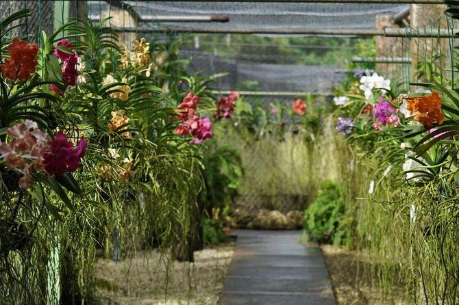 garden-delight-full-day-tour-in-barbados