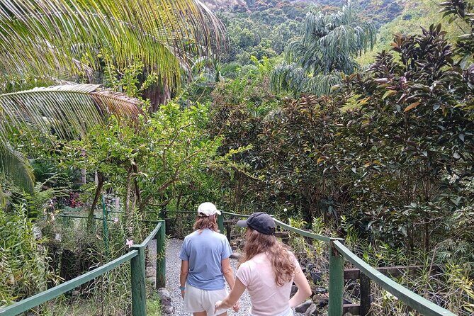 Garden of Sleeping Giant Tour with Tifajek Mud Pool and Hotspring - Practical Aspects of the Tour