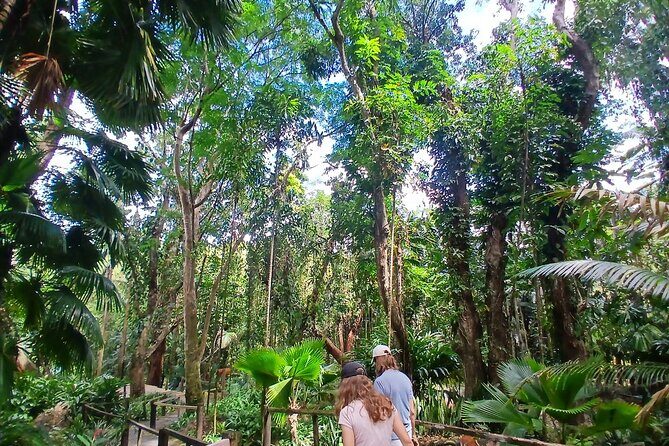 Garden of Sleeping Giant Tour with Tifajek Mud Pool and Hotspring - FAQ