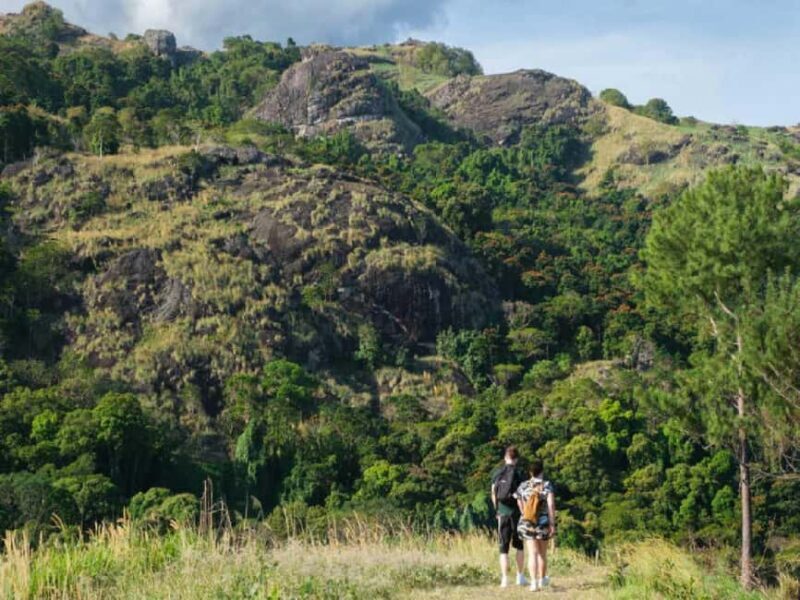 Garden of Sleeping Giant with Tifajek Mudpool Hotspring Tour - An Introduction to the Tour Experience