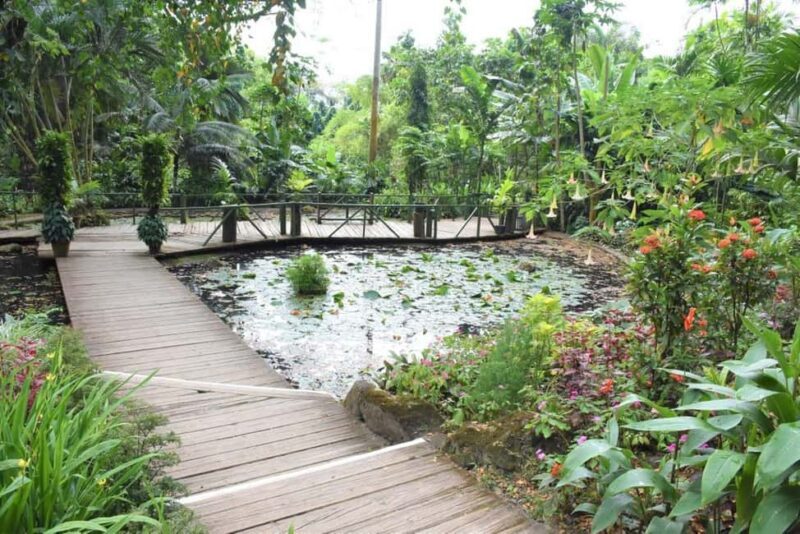 Garden of Sleeping Giant with Tifajek Mudpool Hotspring Tour - The Sum Up