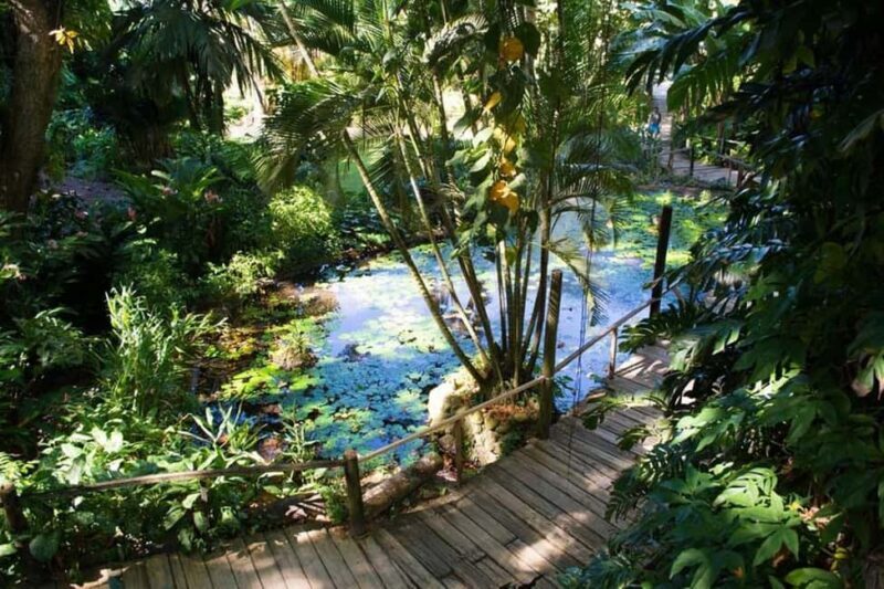 Garden of Sleeping Giant with Tifajek Mudpool Hotspring Tour - FAQ