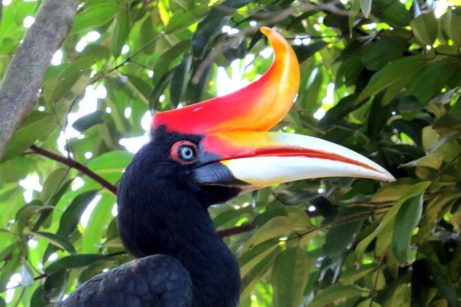 Garden & Parks Tour From Kuala Lumpur - Discover Kuala Lumpur’s Green Side: An Honest Review of the Garden & Parks Tour