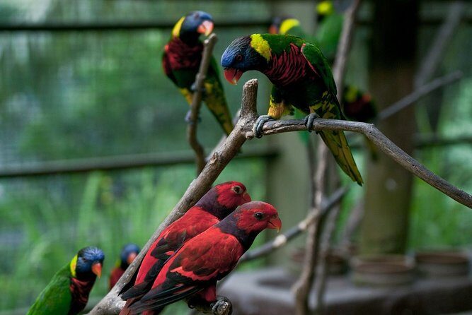 Garden & Parks Tour From Kuala Lumpur - Practical Details That Matter