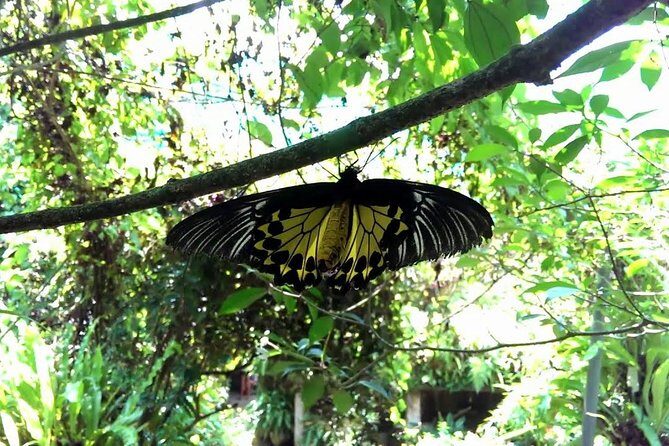 Garden & Parks Tour From Kuala Lumpur - FAQ