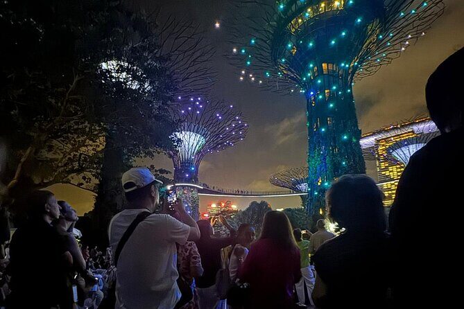 Garden Rhapsody, Spectra Show & Singapore River Cruise Night Tour - What to Keep in Mind