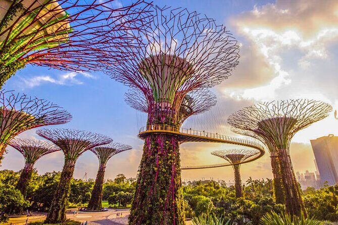 Gardens by the Bay Cloud Forest Flower Dome and Supertree - Key Points