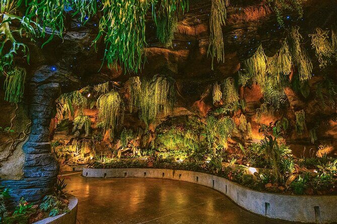 Gardens by the Bay Cloud Forest Flower Dome and Supertree - Who Will Love This Tour?