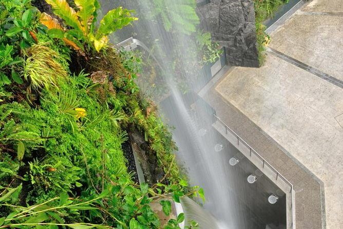 Gardens By the Bay Exp Event - Discovering Gardens by the Bay — A Balanced Look at This Singapore Icon