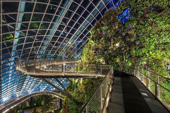 Gardens By the Bay Exp Event - Who Will Love This Tour?
