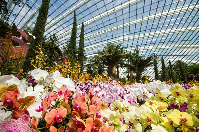 Gardens By the Bay Exp Event - Final Thoughts: Is It Worth It?