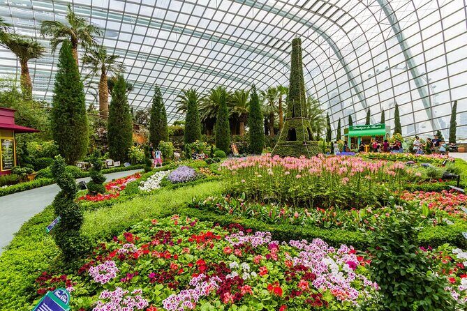 Gardens by the Bay Flower Dome and Cloud Forest Entry Ticket - Introduction: A Closer Look at Gardens by the Bay’s Flower Dome and Cloud Forest Tour