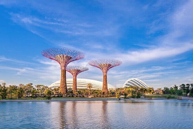 Gardens by the Bay & Marina Bay Sands Tickets - Discovering Gardens by the Bay