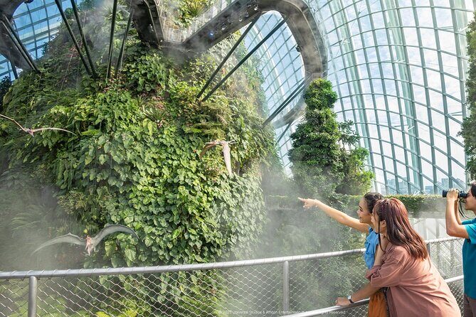 Gardens by the Bay Singapore combo - Authentic Insights from Reviewers