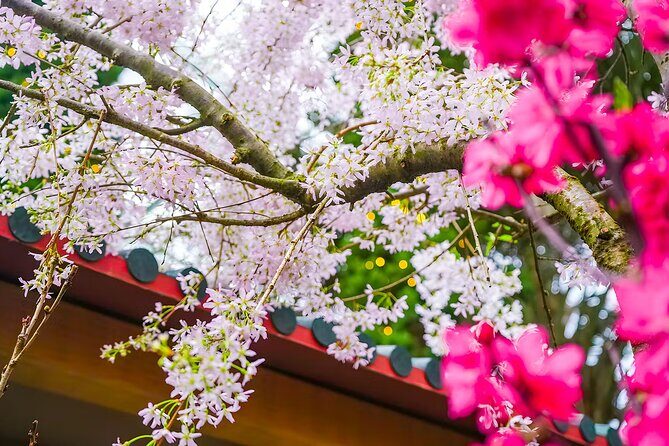 Gardens by the Bay Tickets: Cloud Forest & Flower Dome - Who Should Consider This Experience?