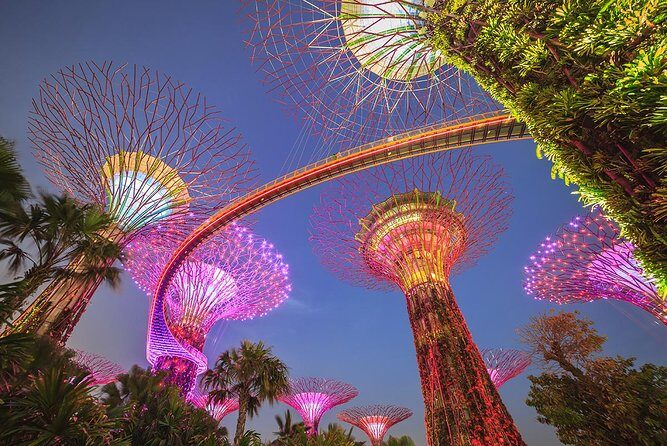 Gardens by the Bay with 2 Flower Dome + Marina Bay Sands Skypark - Exploring Singapore’s Iconic Attractions: Gardens by the Bay & Marina Bay Sands SkyPark Tour Review