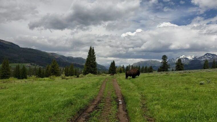 gardiner-yellowstone-national-park-half-day-guided-hike