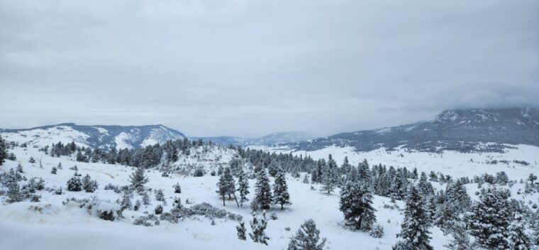 gardiner-yellowstone-national-park-wildlife-guided-tour