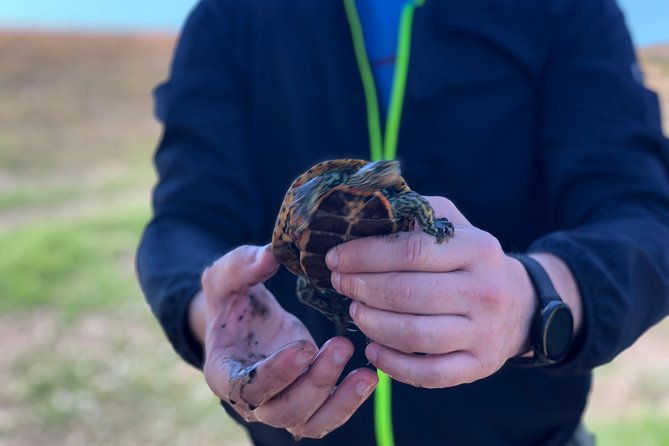 gareja-sunrise-hike-tour-from-tbilisi-and-rainbow-hills-trail
