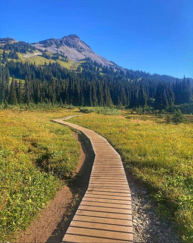 garibaldi-park-panorama-ridge-hiking-day-trip