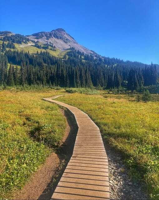 garibaldi-park-panorama-ridge-hiking-day-trip