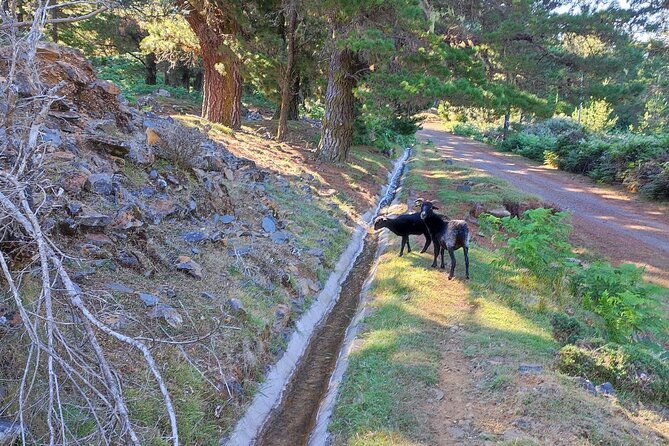 gastro-hike-private-tour