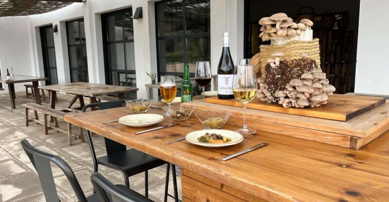 gastronomic-mushroom-experience-tour-not-included
