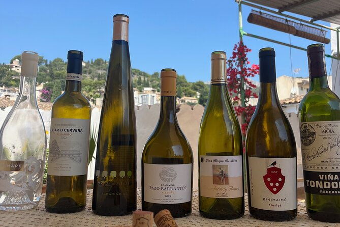 gastronomic-wine-tasting-experience-guided-by-a-sommelier