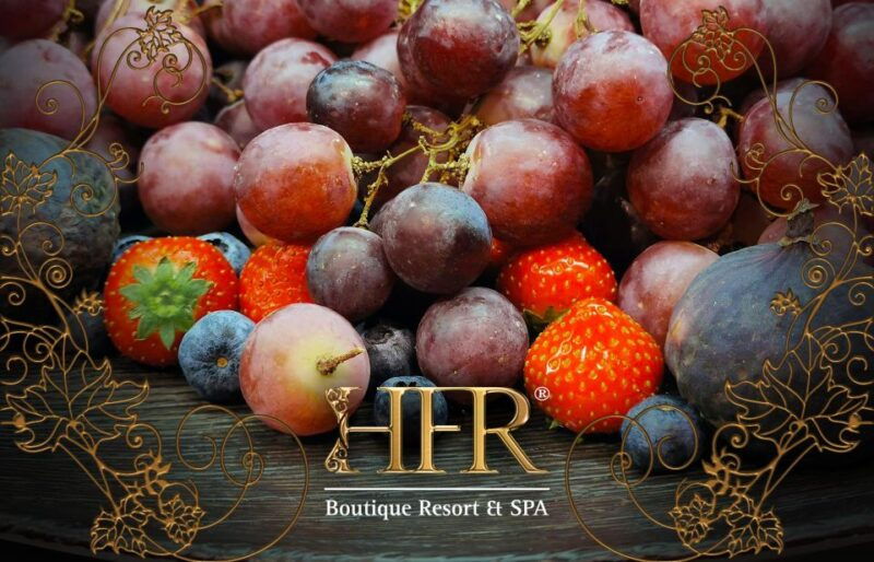 gastronomic-wine-tasting-experiences-in-mertola-alentejo