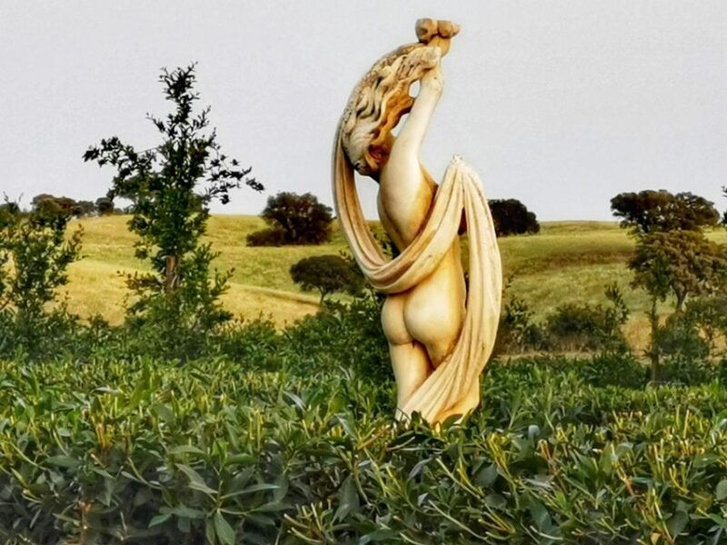 gastronomic-wine-tasting-experiences-in-mertola-alentejo