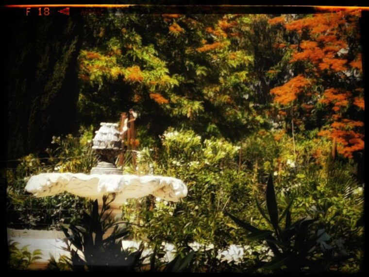 gastronomic-wine-tasting-experiences-in-mertola-alentejo