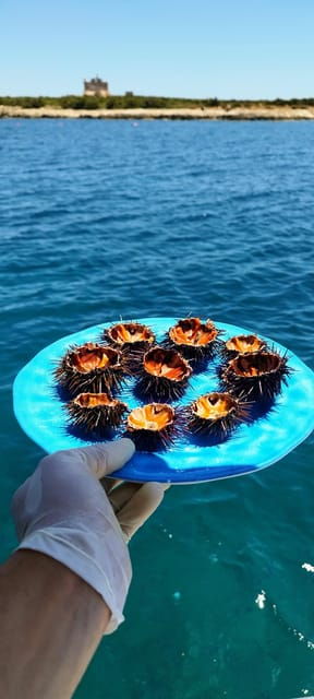 gastronomy-boat-excursion
