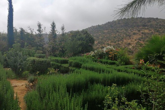 Gateway to Paradise Valley by Atlas Mountain - What Reviewers Say