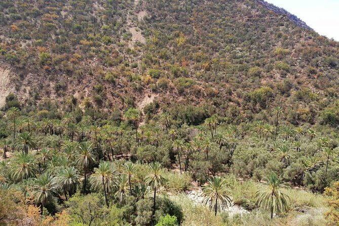 Gateway to Paradise Valley by Atlas Mountain - Price and Value Analysis