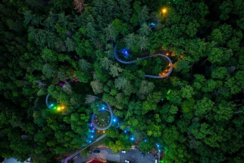 gatlinburg-moonshine-mountain-coaster-ride
