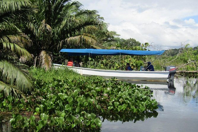 gatun-expedition-monkey-island-tour
