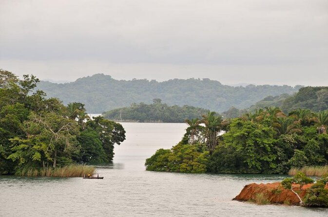 gatun-lake-panama-canal-wildlife-boat-tour-and-sloth-sanctuary