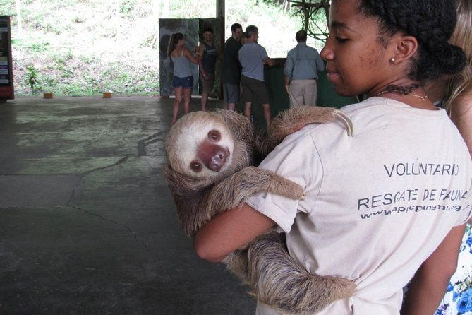 gatun-lake-panama-canal-wildlife-boat-tour-and-sloth-sanctuary