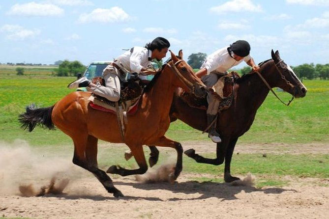 gaucho-day-tour-don-silvano-estancia-from-buenos-aires