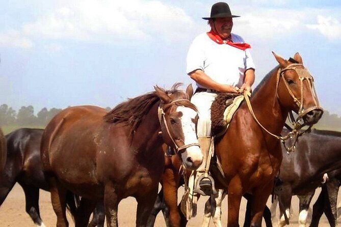 gaucho-day-tour-santa-susana-estancia-from-buenos-aires